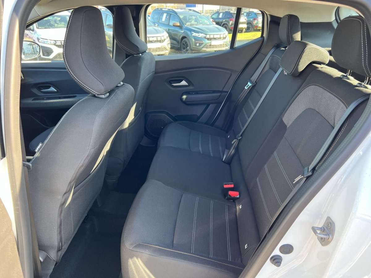 Fahrzeugbild eines Dacia Sandero