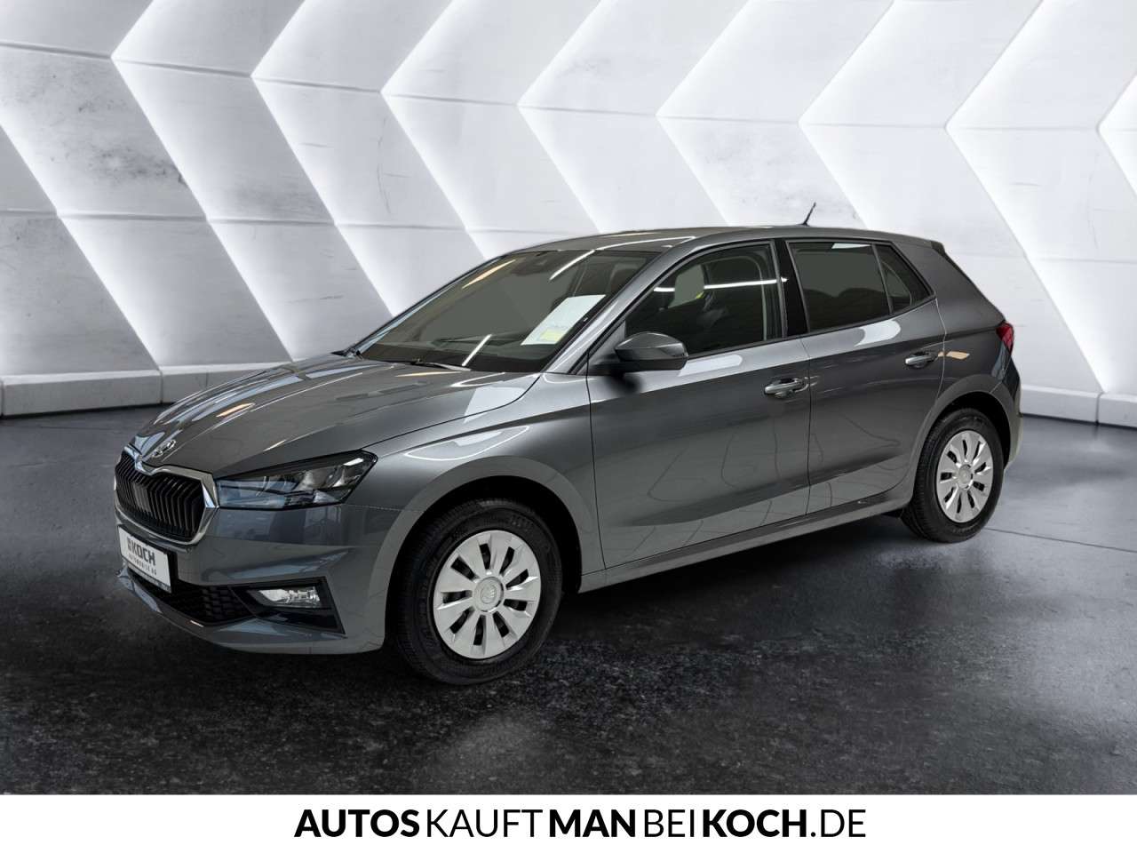 Fahrzeugbild eines Skoda Fabia