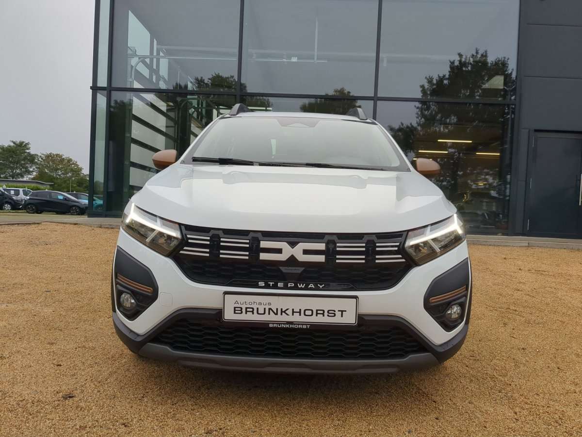 Fahrzeugbild eines Dacia Sandero