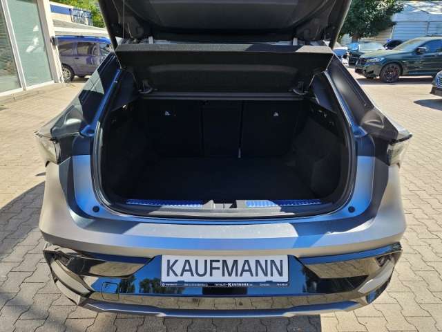 Fahrzeugbild eines Renault Rafale