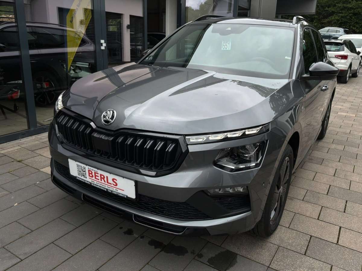 Fahrzeugbild eines Skoda Kamiq