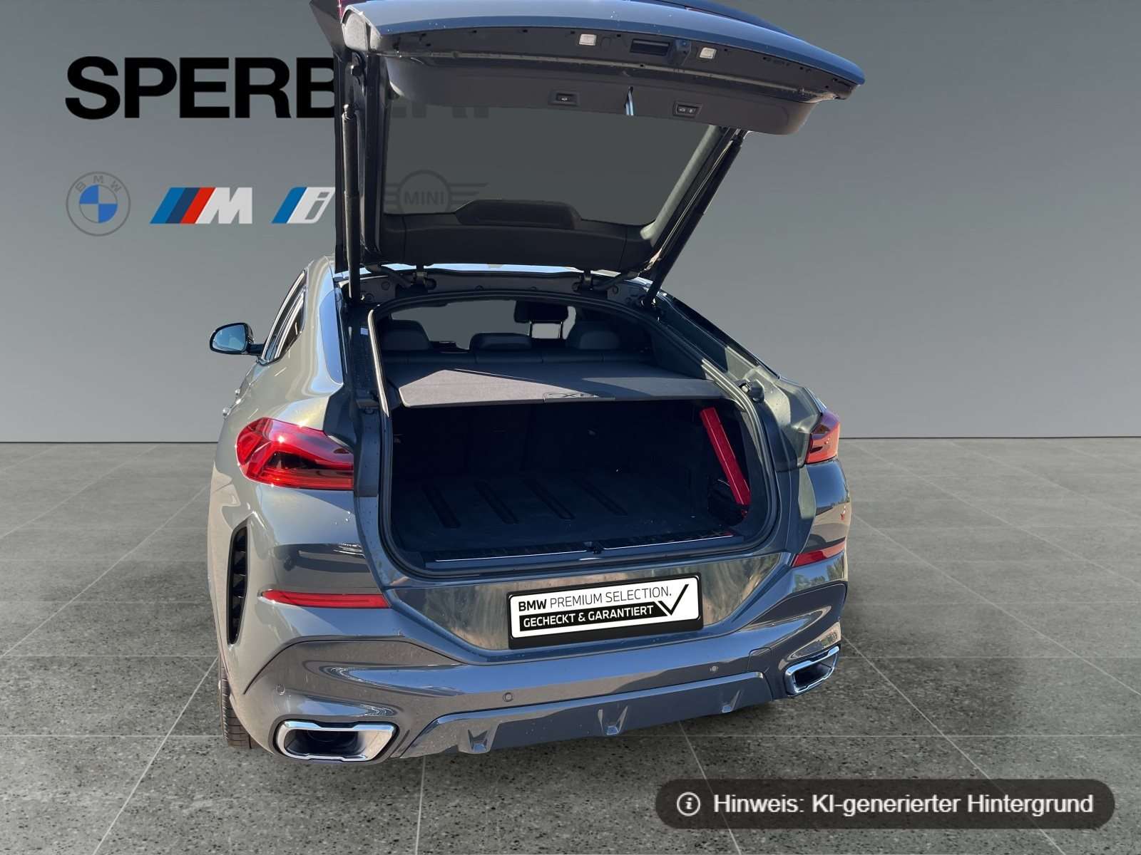 Fahrzeugbild eines BMW X6