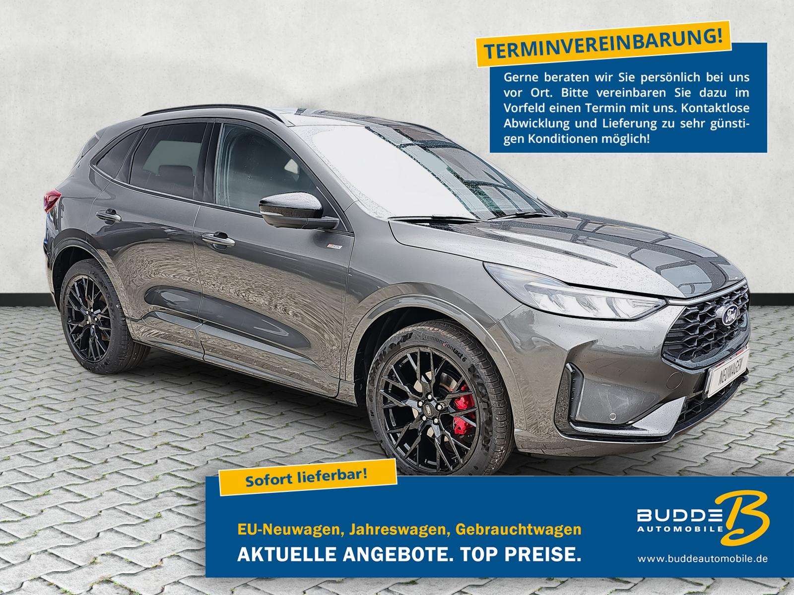 Fahrzeugbild eines Ford Kuga
