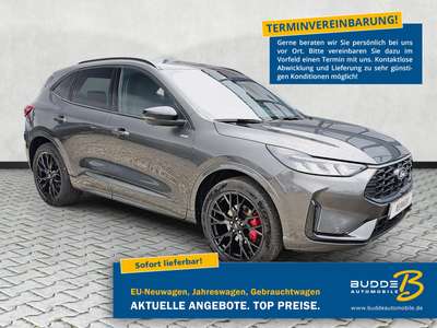 Bild Ford Kuga