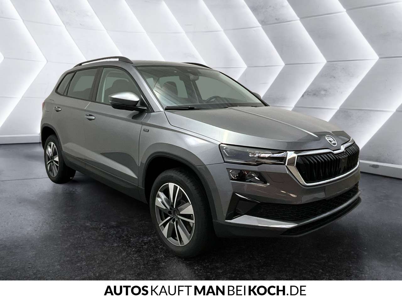 Fahrzeugbild eines Skoda Karoq