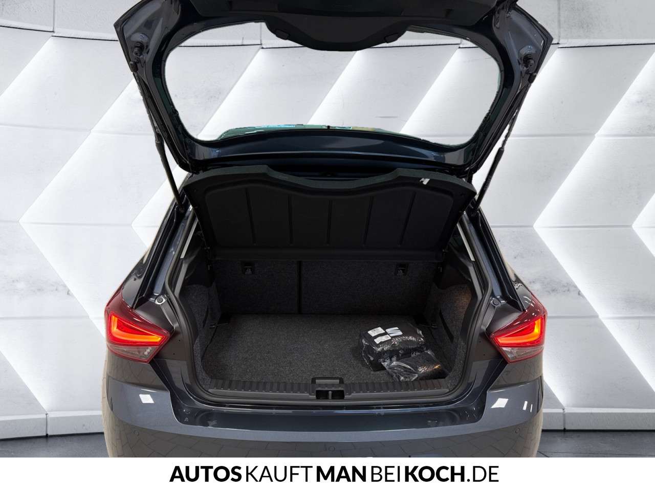 Fahrzeugbild eines SEAT Ibiza