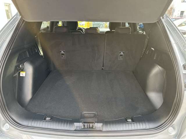 Fahrzeugbild eines Ford Kuga
