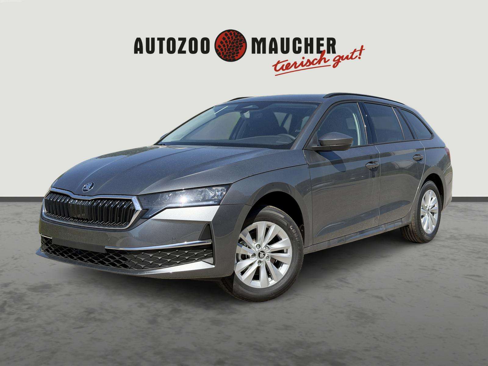 Fahrzeugbild eines Skoda Octavia