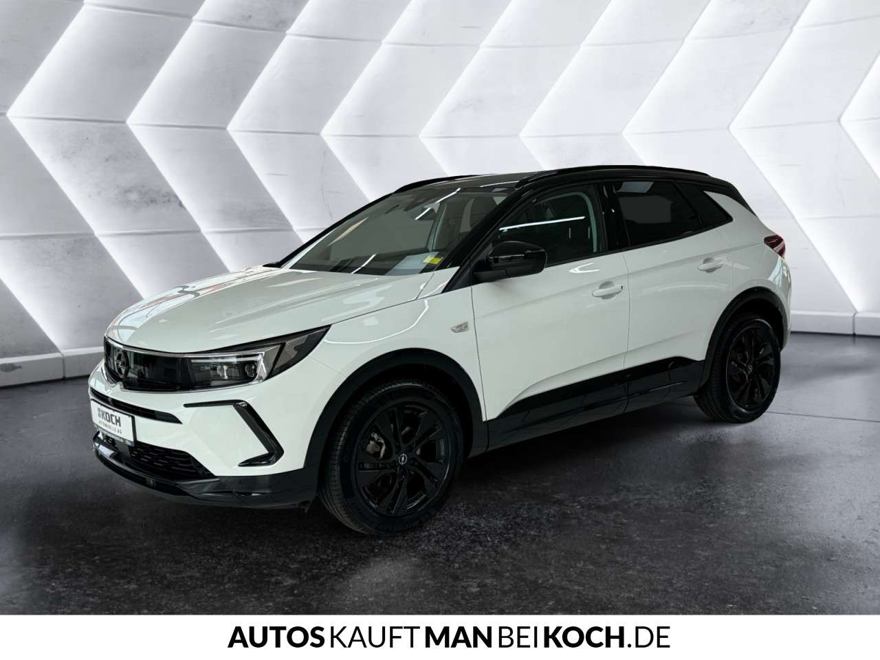 Fahrzeugbild eines Opel Grandland X