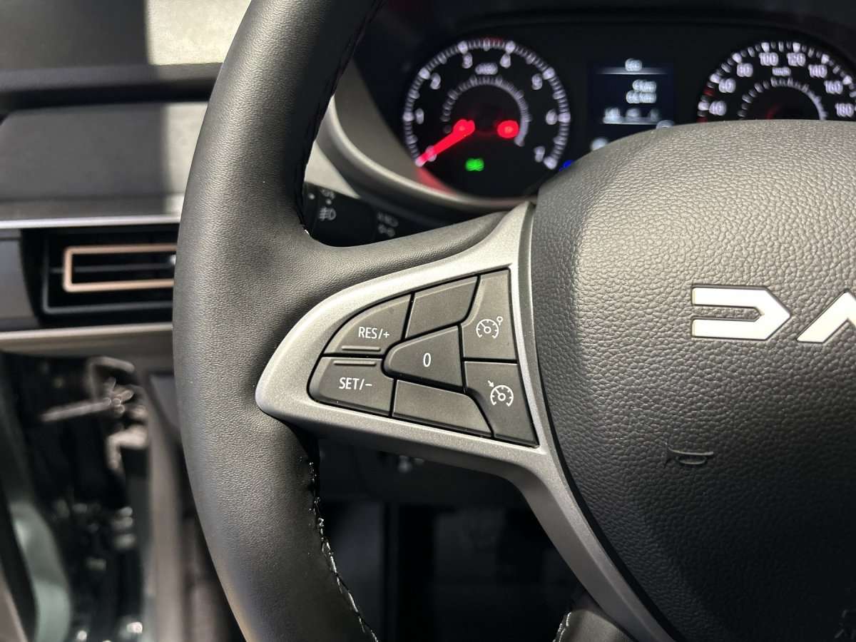 Fahrzeugbild eines Dacia Jogger