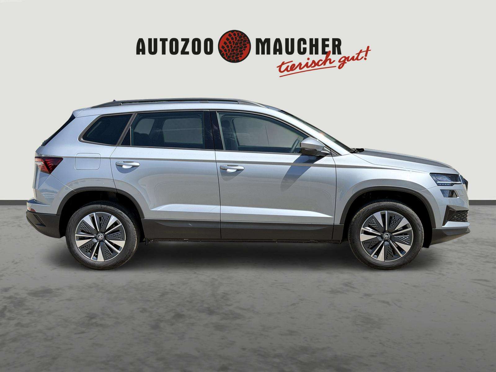 Fahrzeugbild eines Skoda Karoq