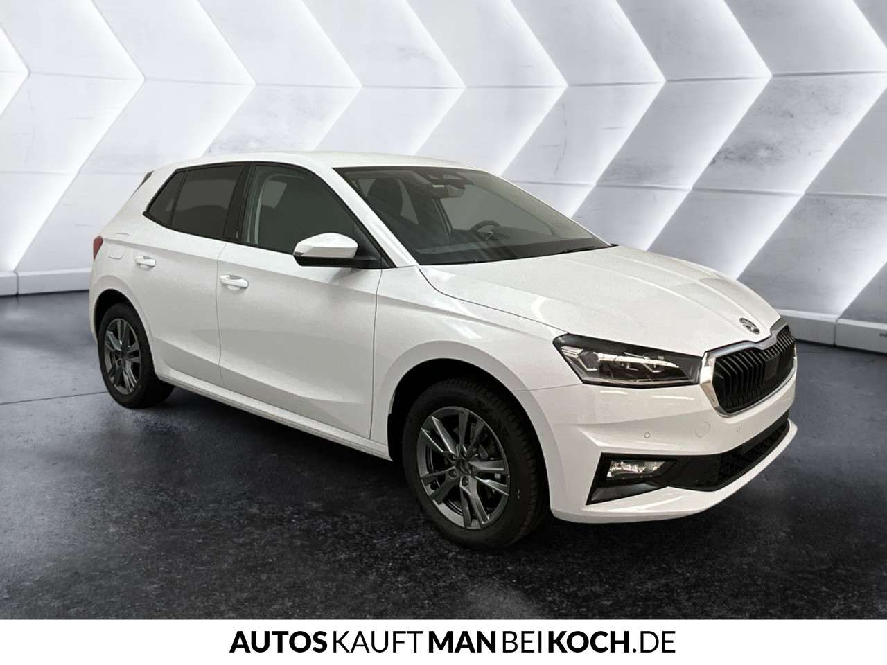 Fahrzeugbild eines Skoda Fabia
