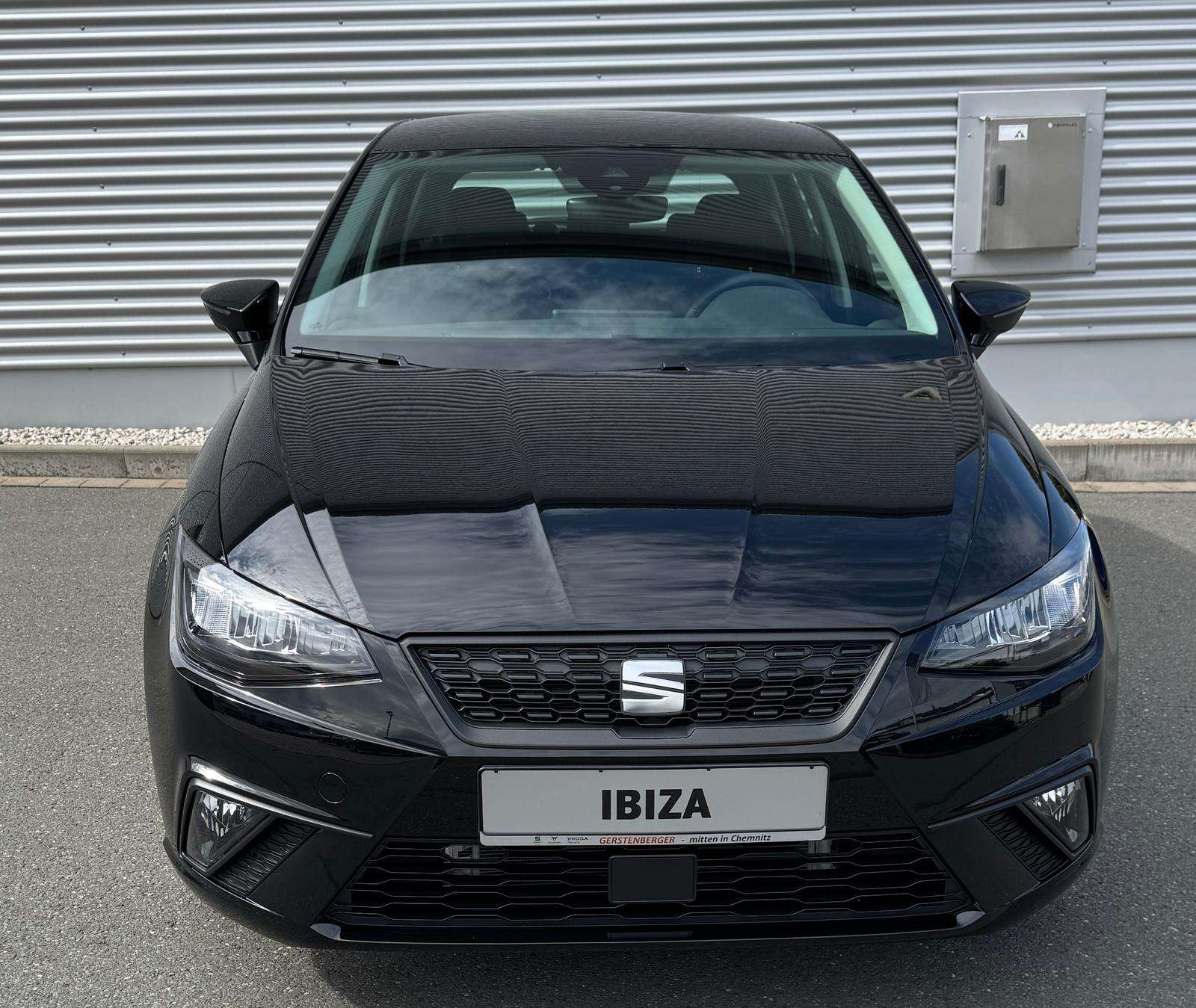 Fahrzeugbild eines SEAT Ibiza