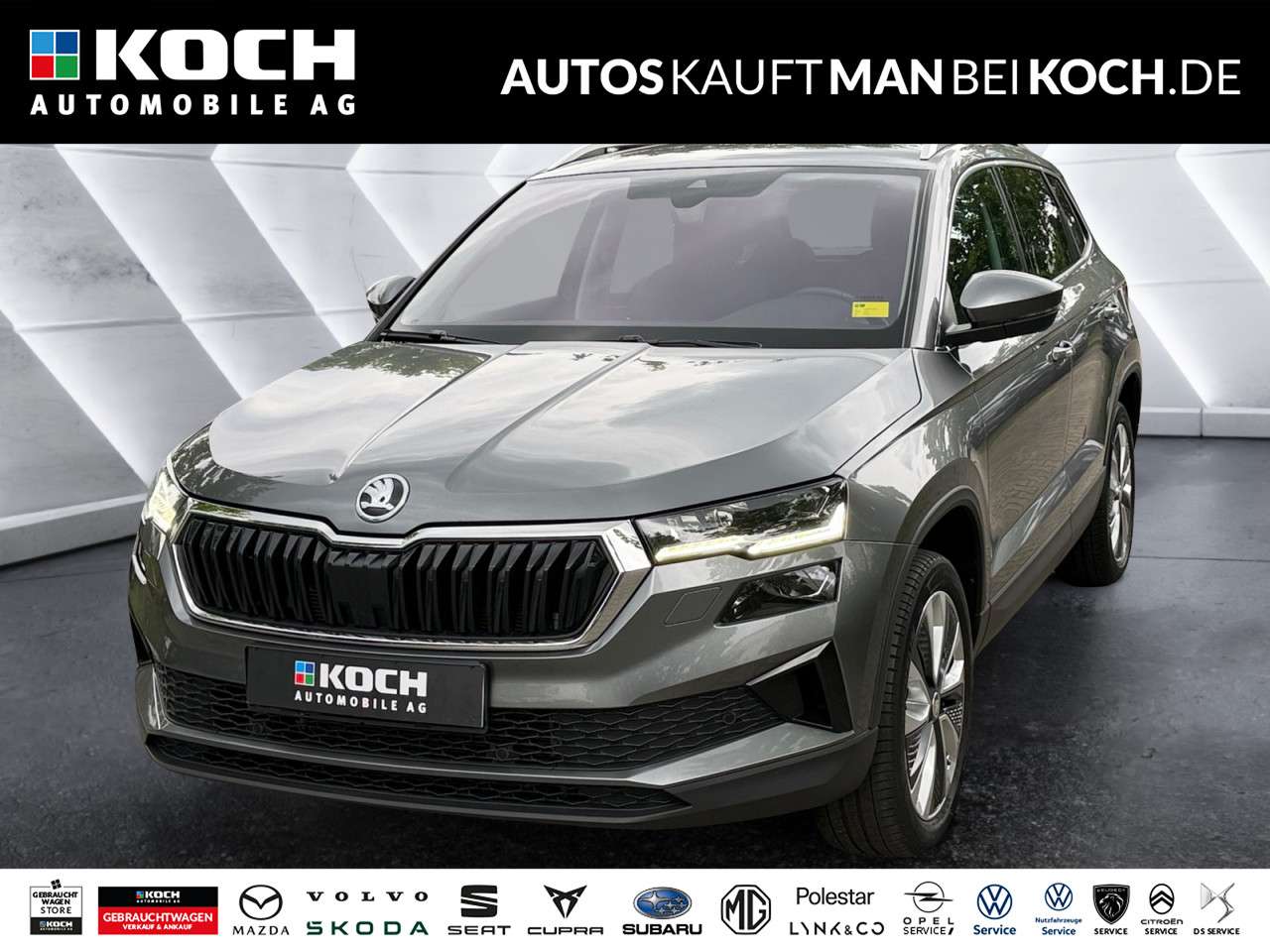 Fahrzeugbild eines Skoda Karoq