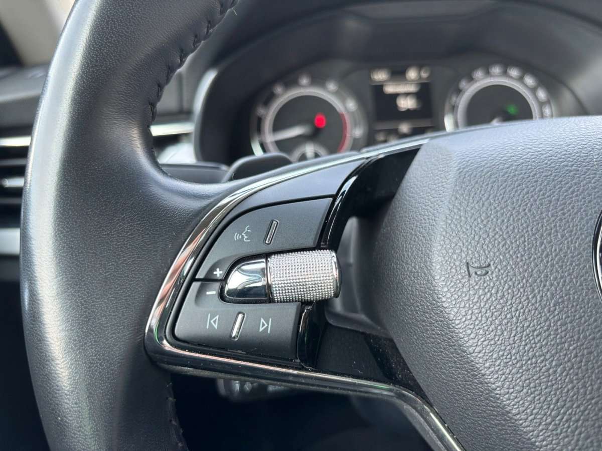 Fahrzeugbild eines Skoda Scala