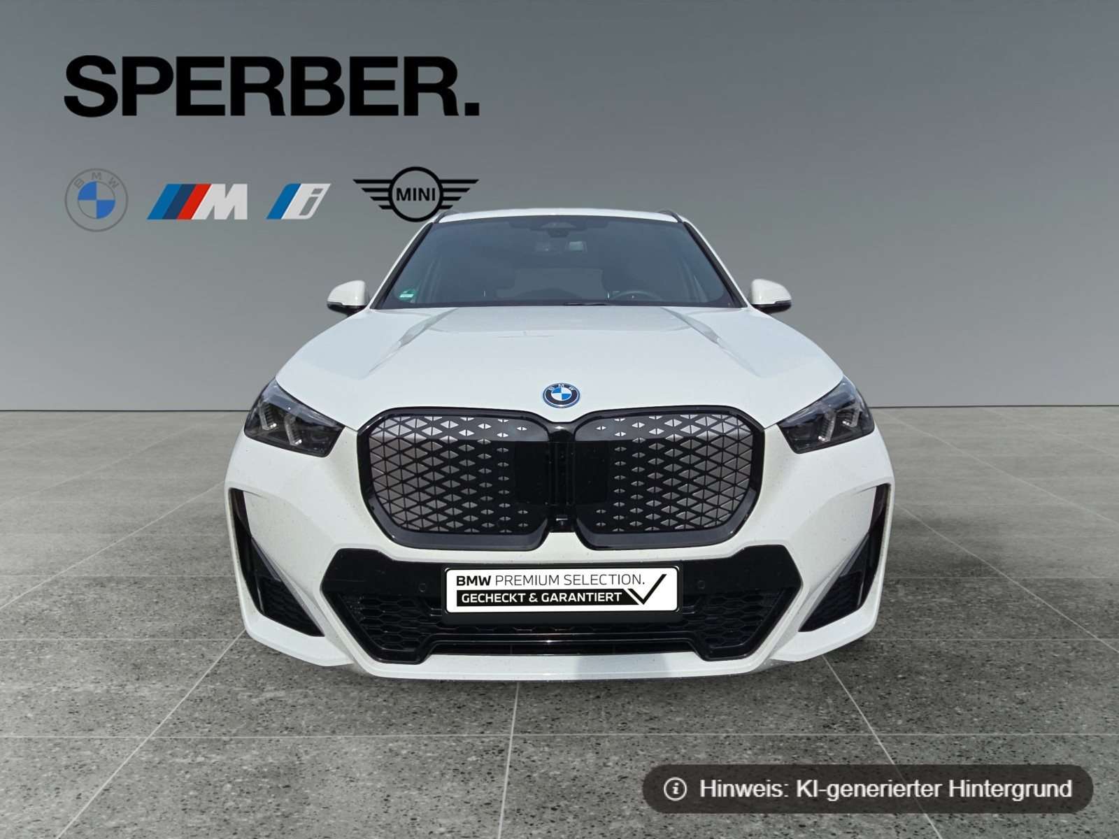 Fahrzeugbild eines BMW iX1