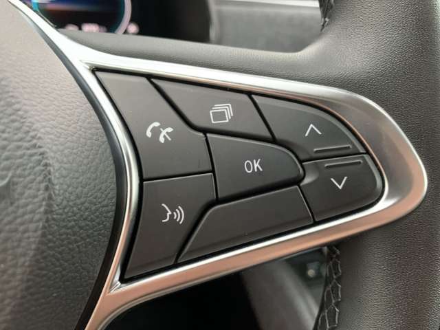 Fahrzeugbild eines Renault ZOE