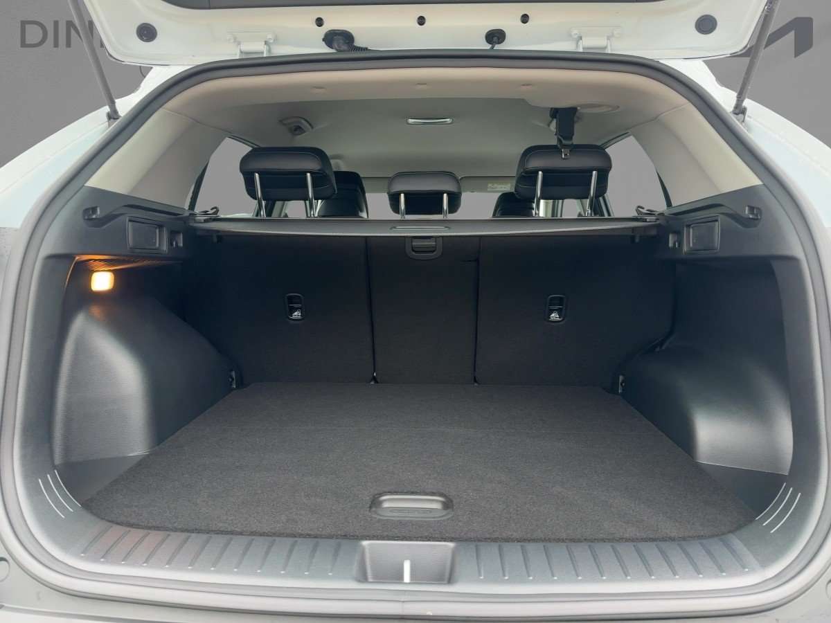 Fahrzeugbild eines Kia Sportage