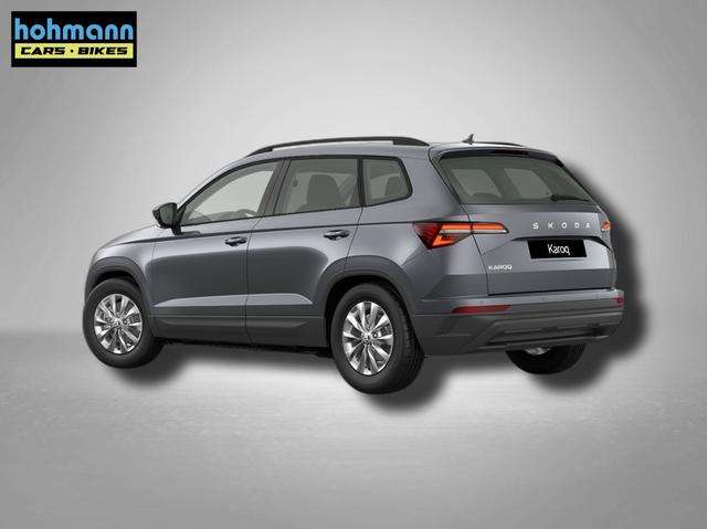 Fahrzeugbild eines Skoda Karoq