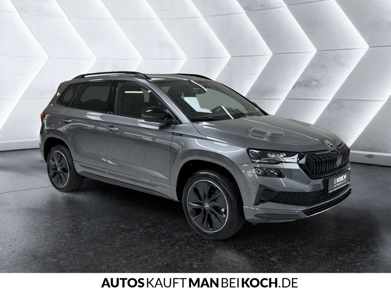 Fahrzeugbild eines Skoda Karoq