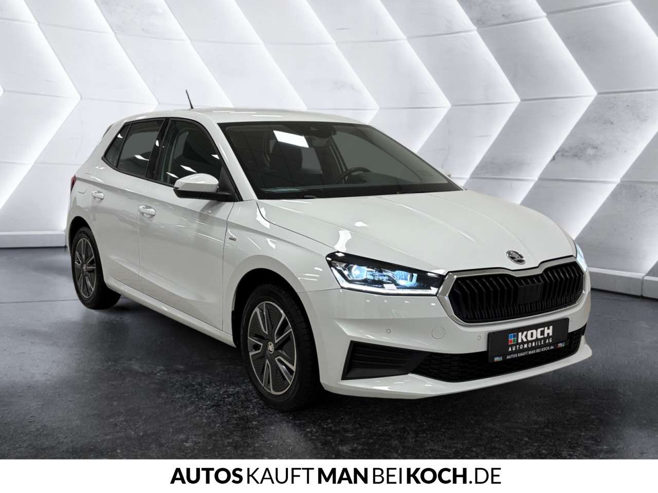 Fahrzeugbild eines Skoda Fabia