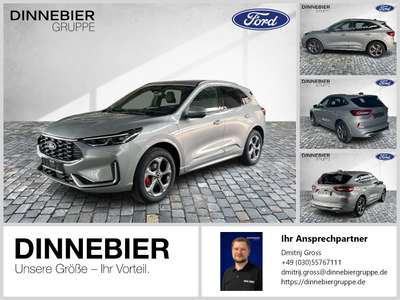 Bild Ford Kuga