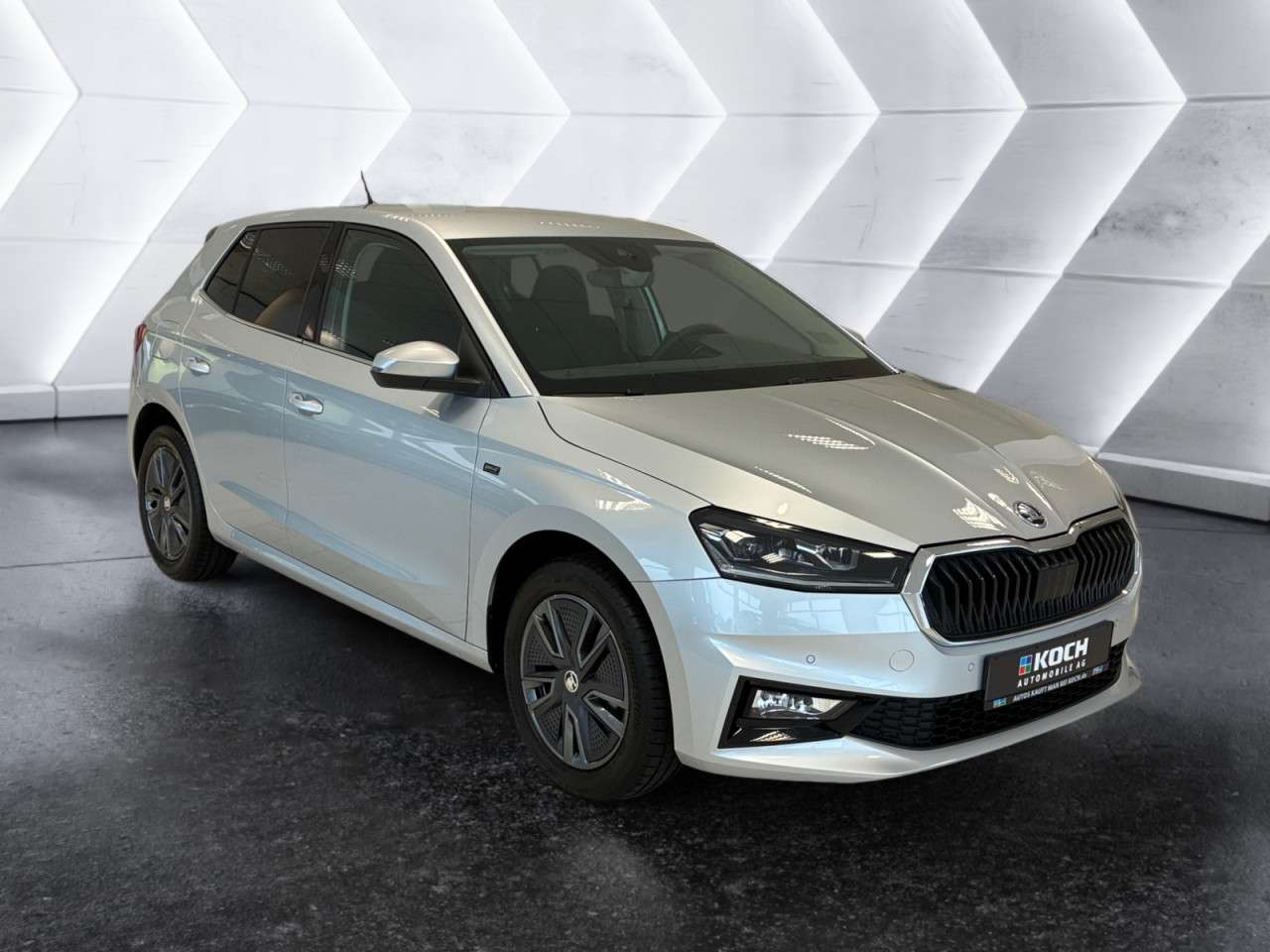 Fahrzeugbild eines Skoda Fabia