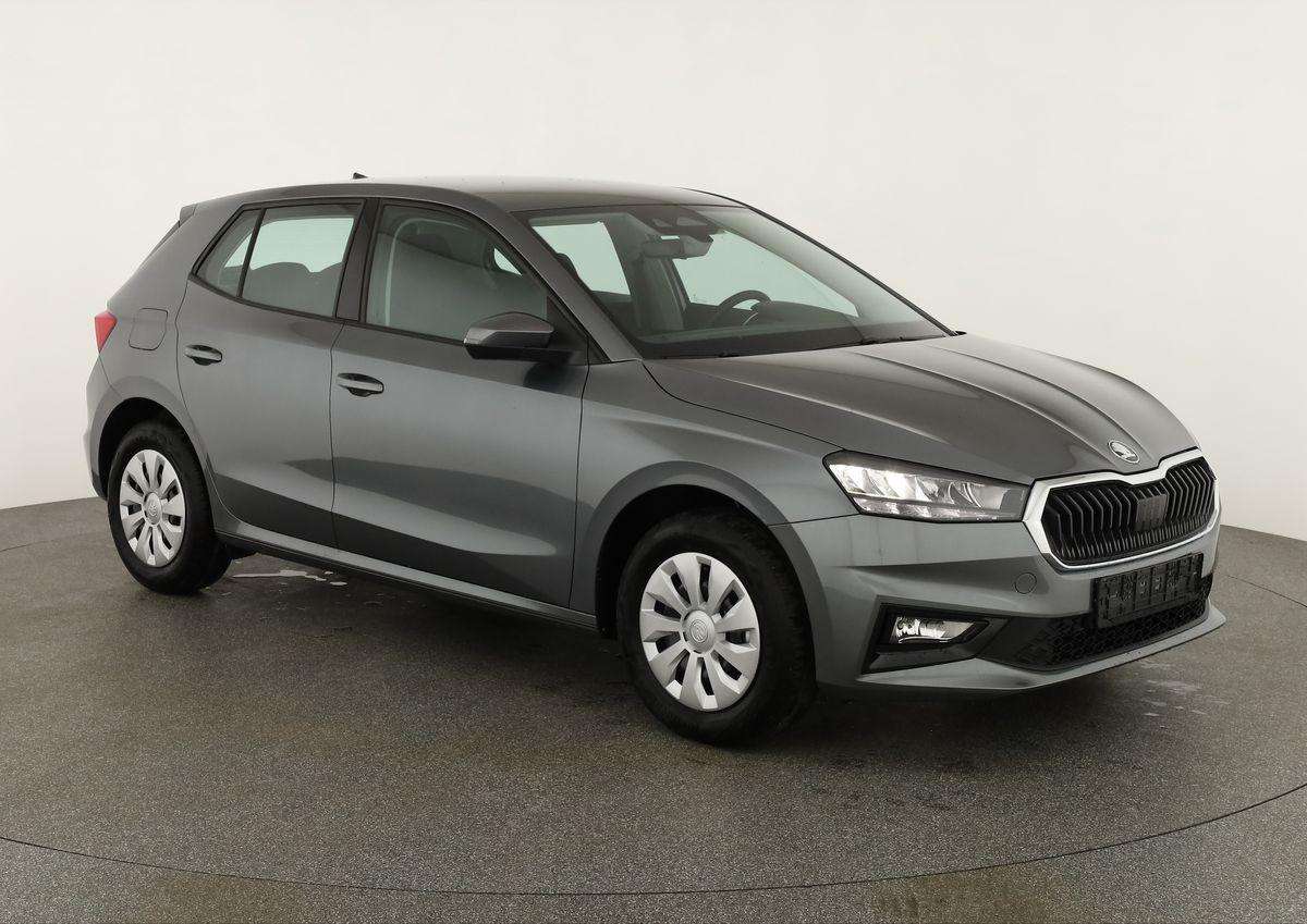 Fahrzeugbild eines Skoda Fabia