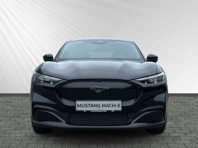 Fahrzeugbild eines Ford Mustang Mach-E