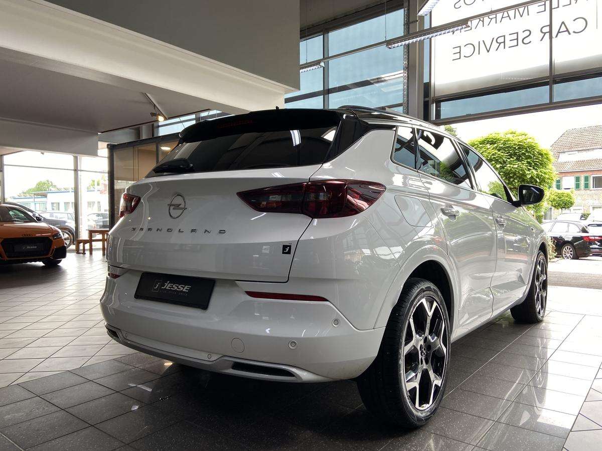 Fahrzeugbild eines Opel Grandland X