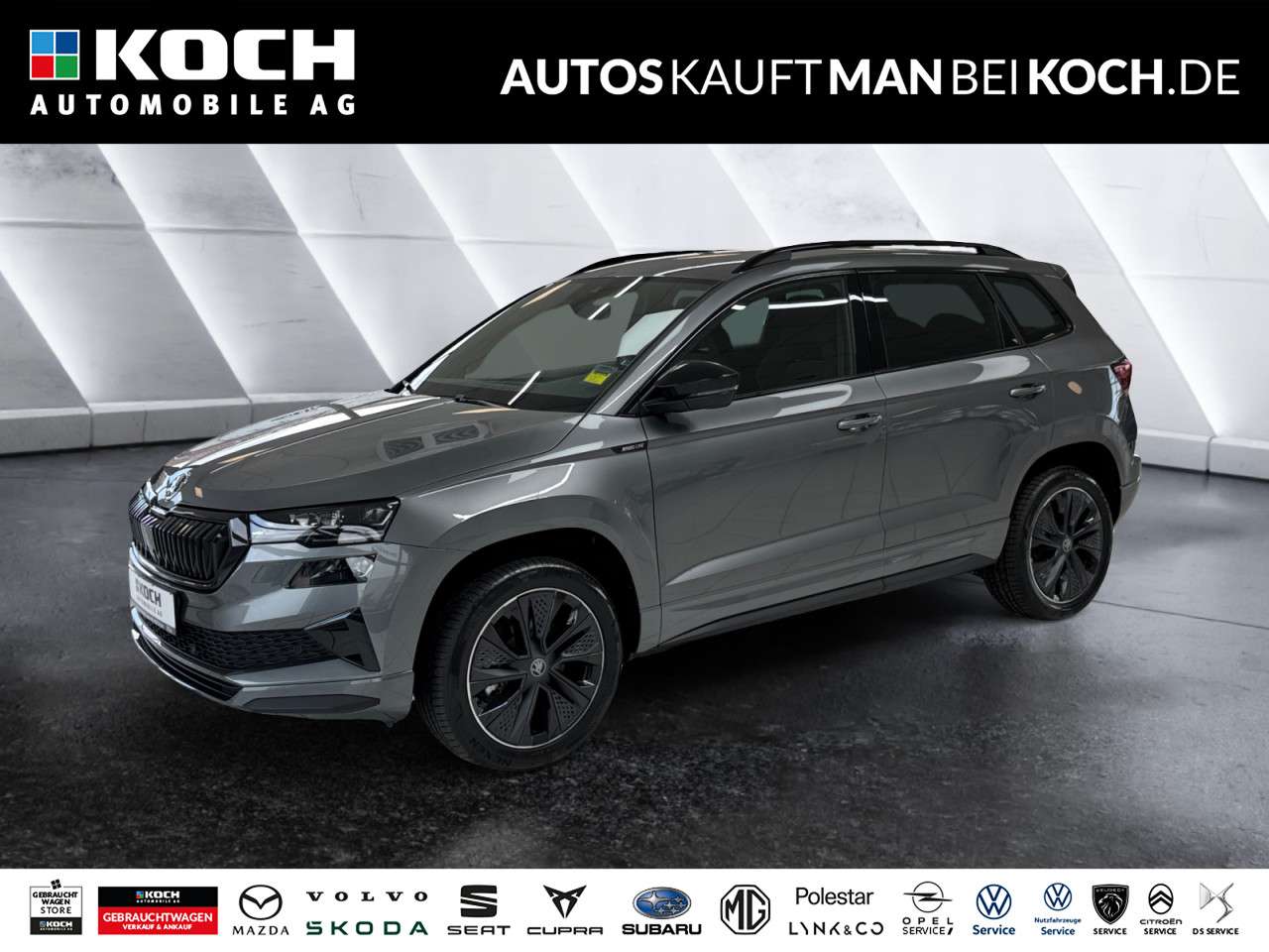 Fahrzeugbild eines Skoda Karoq