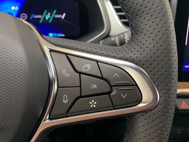 Fahrzeugbild eines Renault Symbioz