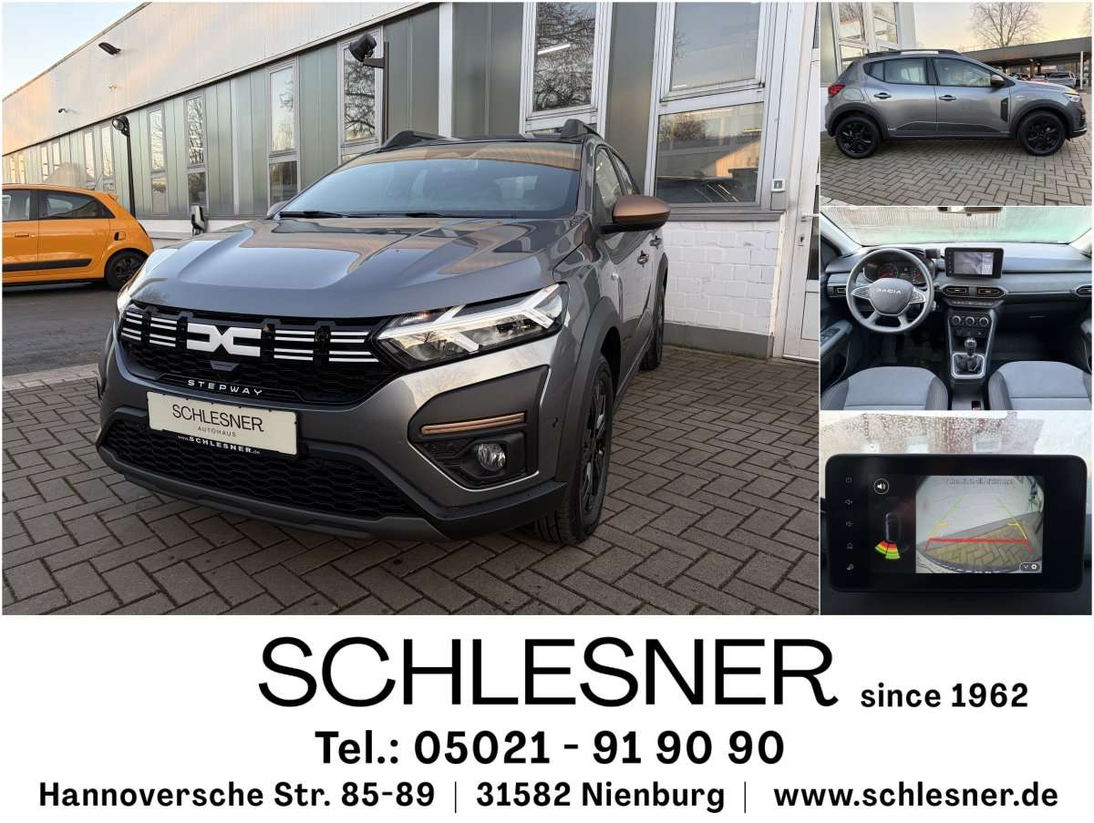 Fahrzeugbild eines Dacia Sandero