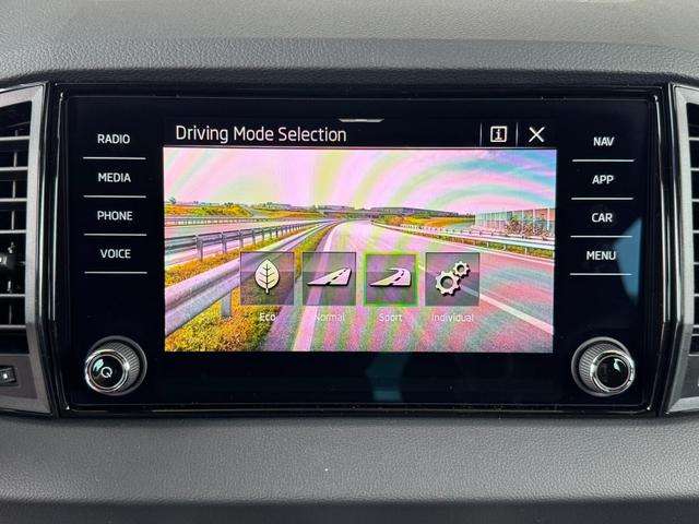 Fahrzeugbild eines Skoda Karoq