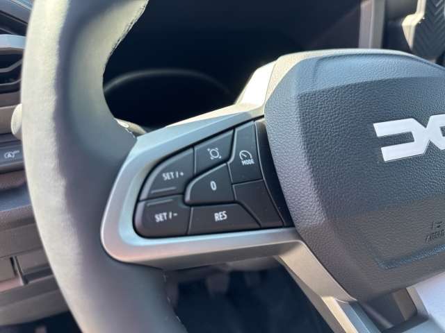 Fahrzeugbild eines Dacia Bigster