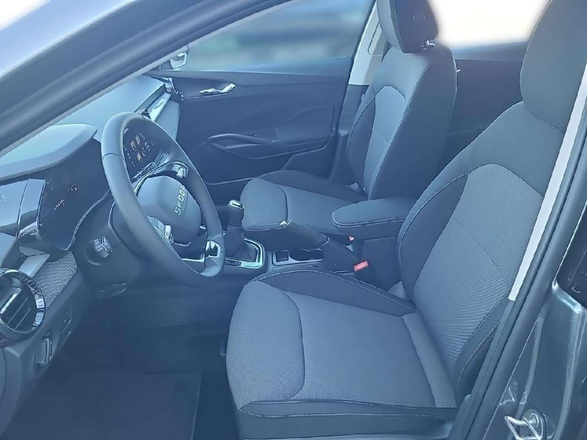 Fahrzeugbild eines Skoda Fabia