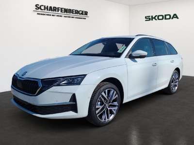 Bild Skoda Octavia