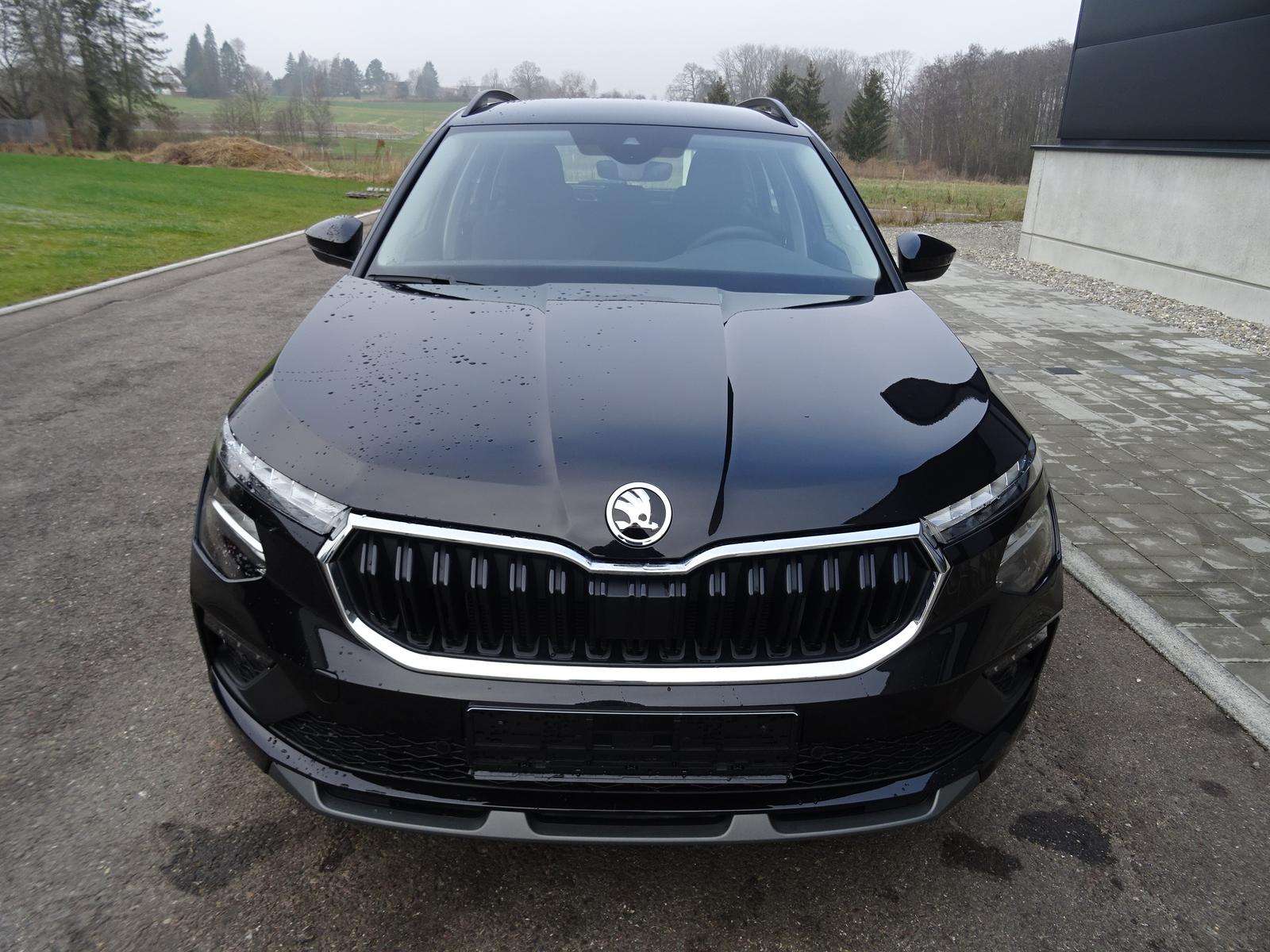 Fahrzeugbild eines Skoda Kamiq