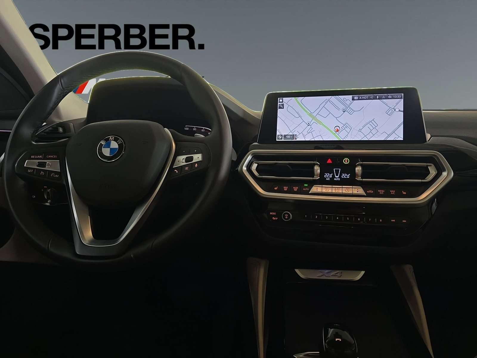 Fahrzeugbild eines BMW X4