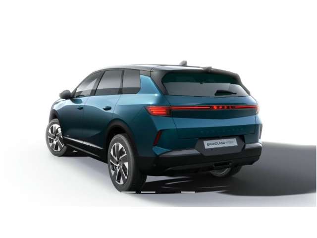 Fahrzeugbild eines Opel Grandland X