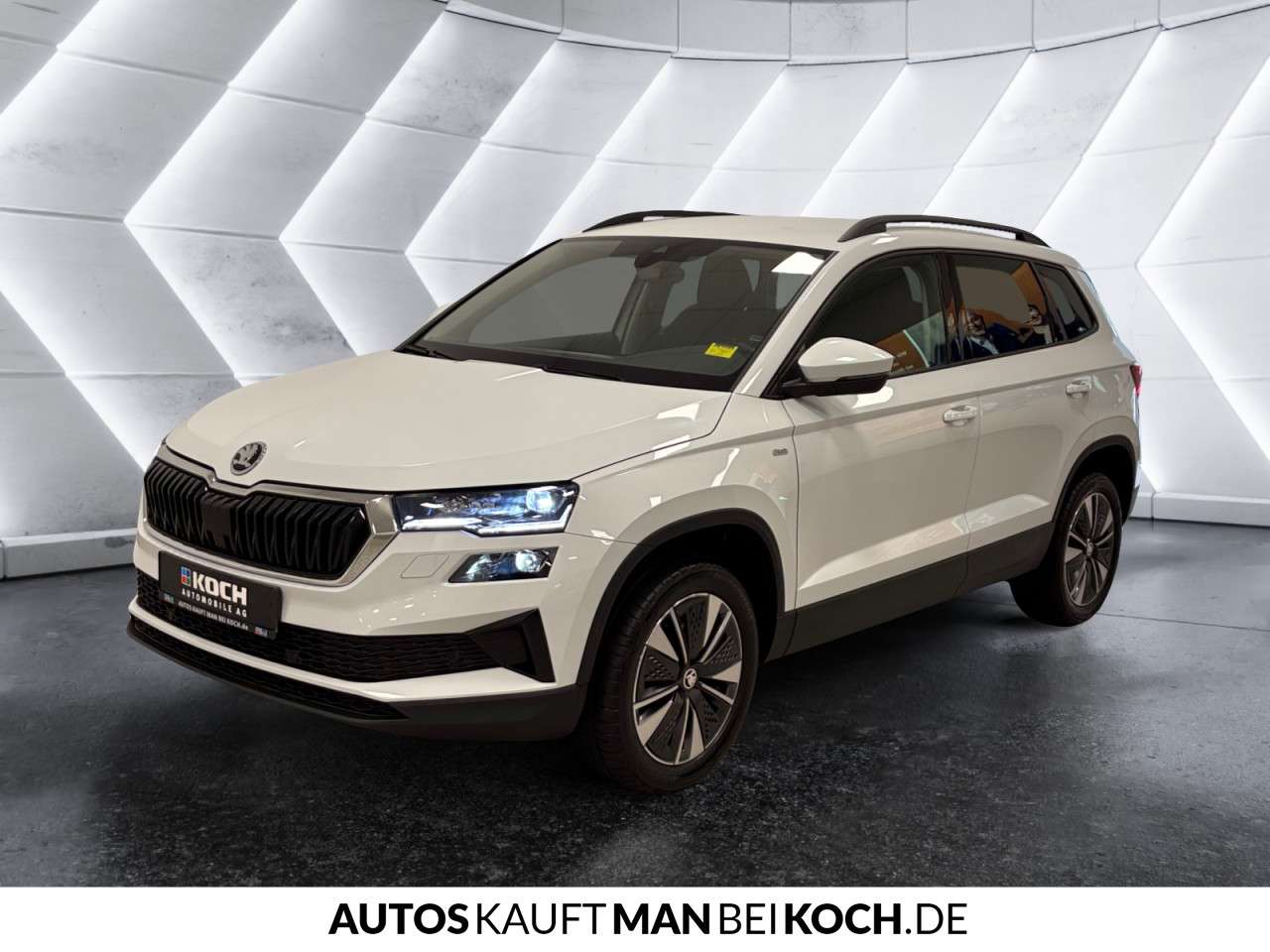 Fahrzeugbild eines Skoda Karoq