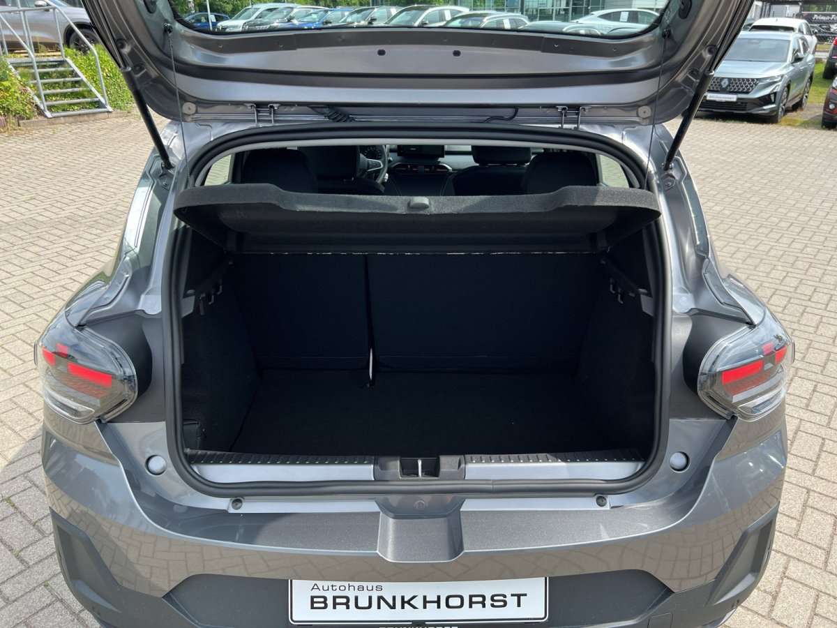 Fahrzeugbild eines Dacia Sandero
