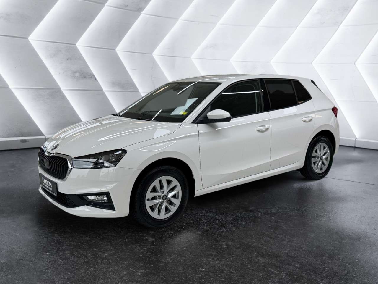 Fahrzeugbild eines Skoda Fabia