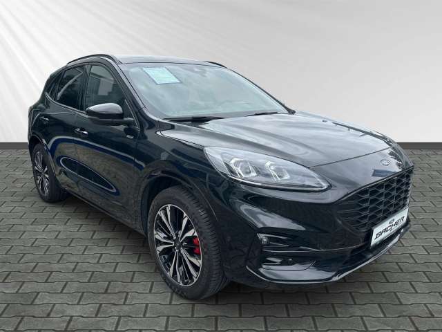 Fahrzeugbild eines Ford Kuga