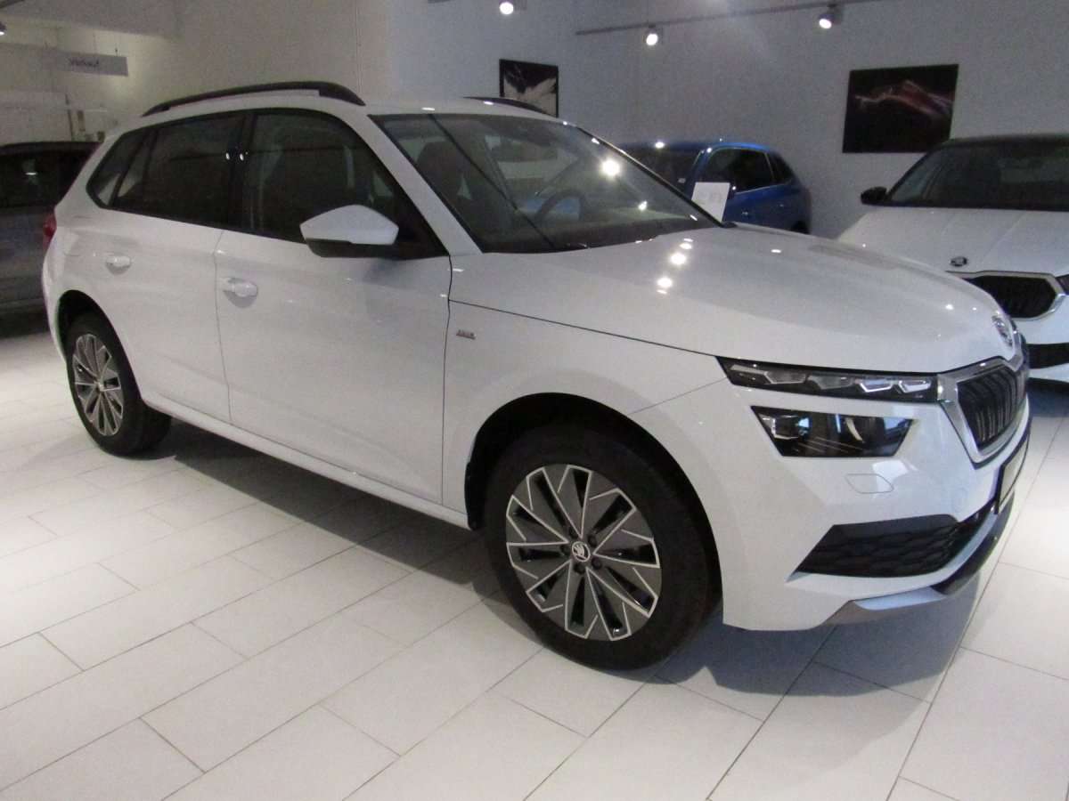 Fahrzeugbild eines Skoda Kamiq