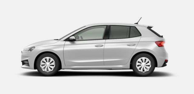 Fahrzeugbild eines Skoda Fabia