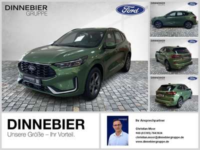 Bild Ford Kuga