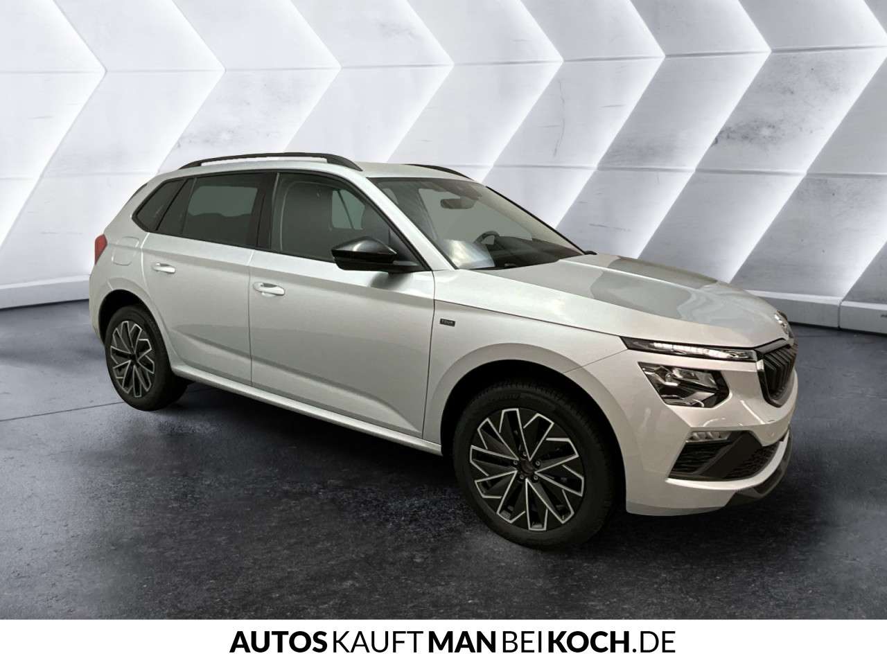 Fahrzeugbild eines Skoda Kamiq