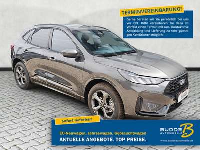 Bild Ford Kuga