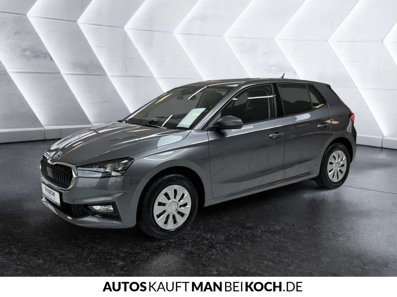 Fahrzeugbild eines Skoda Fabia